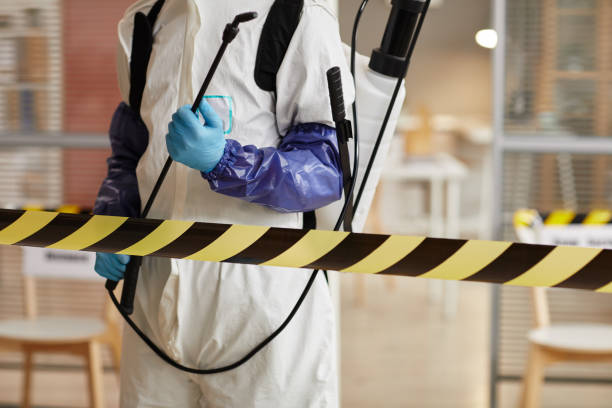Professional Sewage Cleanup technician working in Mapleton, UT